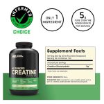Optimum Nutrition Micronized Creatine Powder 600g