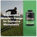 Optimum Nutrition Micronized Creatine Powder 600g