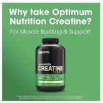 Optimum Nutrition Micronized Creatine Powder 600g