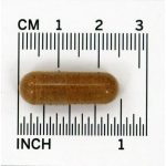 Quality of Life Kinoko Platinum AHCC 750mg, 60 Vegicaps